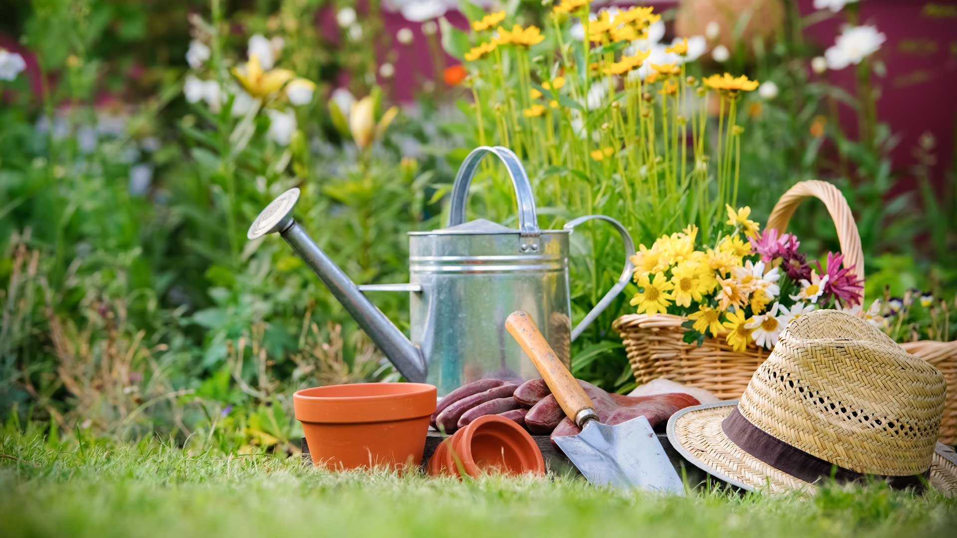 National Gardening Weeks