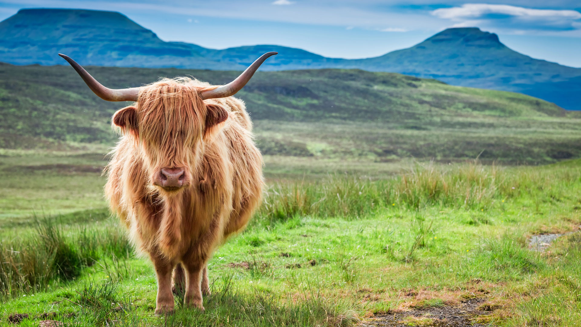 Bank Holidays in Scotland 2027 Public Holiday Guide
